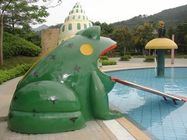 Frog Water Slide Kids Water Playground Equipment Untuk Kolam Renang